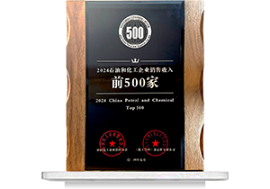 2024ʯ�ͺͻ�����ҵ500ǿ