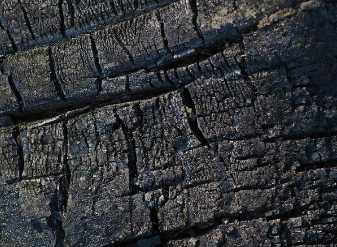 �������ǲ���(�й���)�ٷ���վ